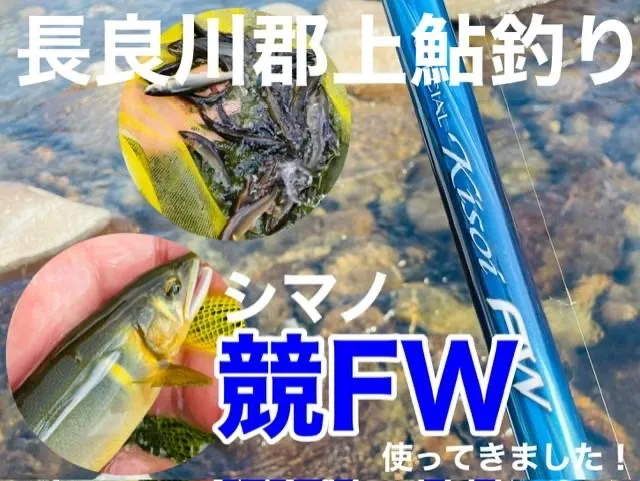 イシグロ各店 鮎釣り情報♪｜鮎フィッシングマイスター 鈴木祐也｜釣具のイシグロ |釣り情報サイト